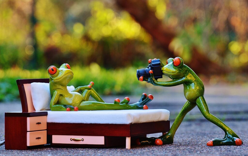 photographer, frog, photo shoot, fun, nature, camera, animal, taking photos, wildlife, cute, frogs, figure, green